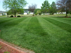 cut the grass, akron ohio, clinton ohio, stow ohio, cuyahoga falls, ne ohio, lawn care, aeration,