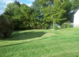 barberton ohio lawn mowing company, 44203,