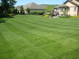 lawn mowing akron ohio, aeration copley ohio, tallmadge ohio, mogadore oh, stow ohio,