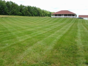 norton ohio lawn mowing, 44203,