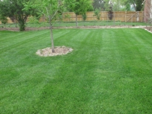 lawn care in clinton ohio, 44216,