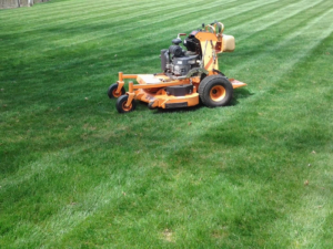 stander, akron, ohio, mowing, lawn care, 44216, 44319, 44203,