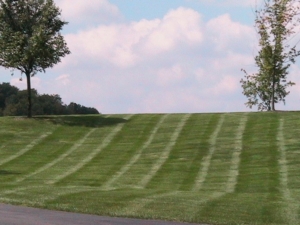 perfect stripes in cuyahoga falls oh, 44223,