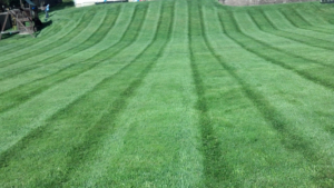 cuyahoga falls ohio lawn mowing service, 44221,