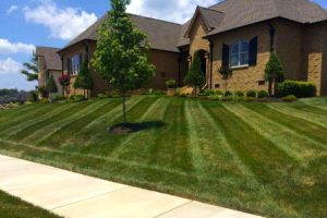 Mowing, Mower Stripes, Landscaping