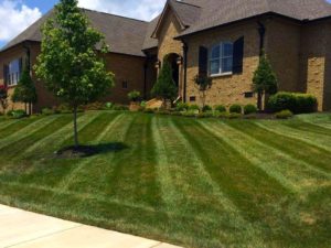 Lawn care, landscaper, lawn mowing, landscaping, mowing service, landscape service, mowing, cuyahoga falls ohio, cuyahoga falls oh,