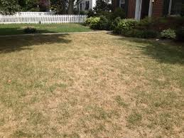 grass, Lawn care, landscaper, lawn mowing, landscaping, mowing service, landscape service, mowing, akron ohio mowing company,