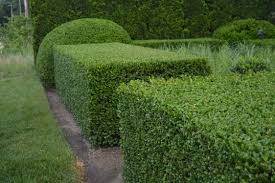 hedge pruning, shrub trimming, landscaper, lawn service, fairlawn ohio,