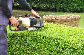 Lawn care, landscaper, lawn mowing, landscaping, mowing service, landscape service, mowing, shrub pruning, shrub trimming, hedge pruning, hedge trimming, shrub, hedge, bush, landscape, grass mowing,