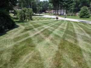 Copley Ohio, lawn striping, lawn mowing, lawn patterns, stripe my lawn, professional equipment, lawn care, mowing, diamond pattern, stripes