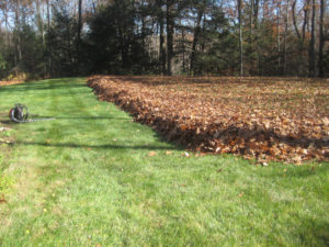 lawn care, landscape, fall leaf cleanup, clean up