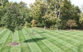 Lawn care, landscaper, 44319, lawn mowing, landscaping, mowing service, landscape service, mowing, new franklin oh, new franklin ohio, lawn maintenance,