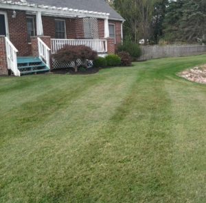 Lawn care, landscaper, lawn mowing, landscaping, mowing service, landscape service, mowing. norton ohio, norton oh,