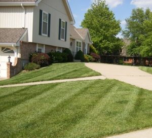 Lawn care, landscaper, lawn mowing, landscaping, mowing service, landscape service, mowing , springfield township oh, springfield township ohio, springfirled oh,