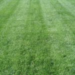 lawn care, landscaping, lawn mowing, 44313, landscaper, mowing service, fairlawn oh, fairlawn ohio, grass,