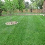 lawn care, landscaping, lawn mowing, 44313, landscaper, mowing service, fairlawn oh, fairlawn ohio,