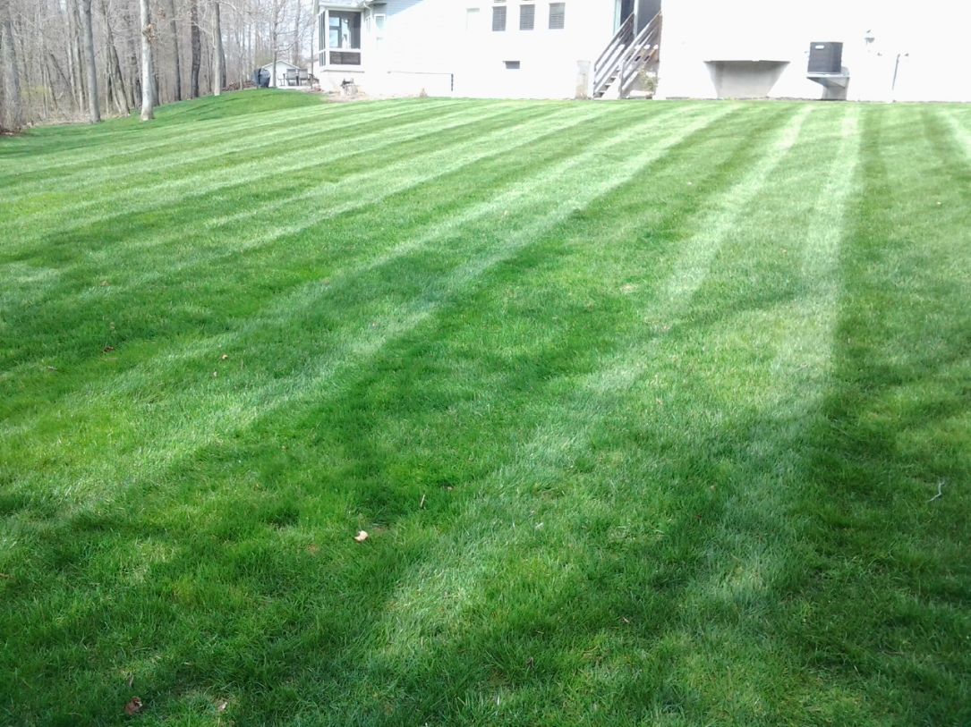 Lawn care, landscaper, lawn mowing, landscaping, mowing service, landscape service, 44685, mowing, uniontown ohio, uniontown oh,