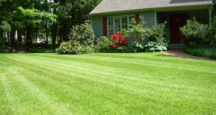 barberton ohio, lawn care, landscaping, lawn mowing, mowing service, barberton oh, landscaper, 44203, lawn service, aeration,