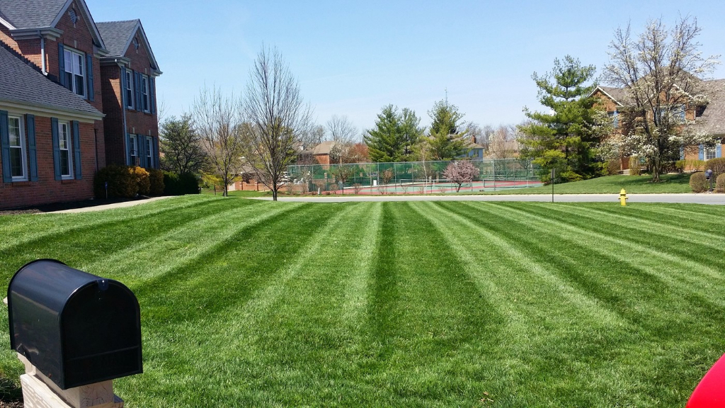 lawn aeration, richfield oh, 44286, lawn service, landscaping service, lawn care company, landscaper, mowing grass, mowing company, mower, lawn mowing, northeast ohio, summit county oh, grass, turf,