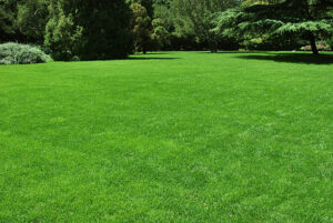 east canton lawn treatments