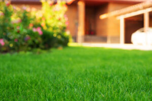 rootstown ohio lawn treatments