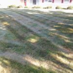 lawn care, landscaping, fairlawn oh, fairlawn ohio, landscaper, mowing service, 44313,