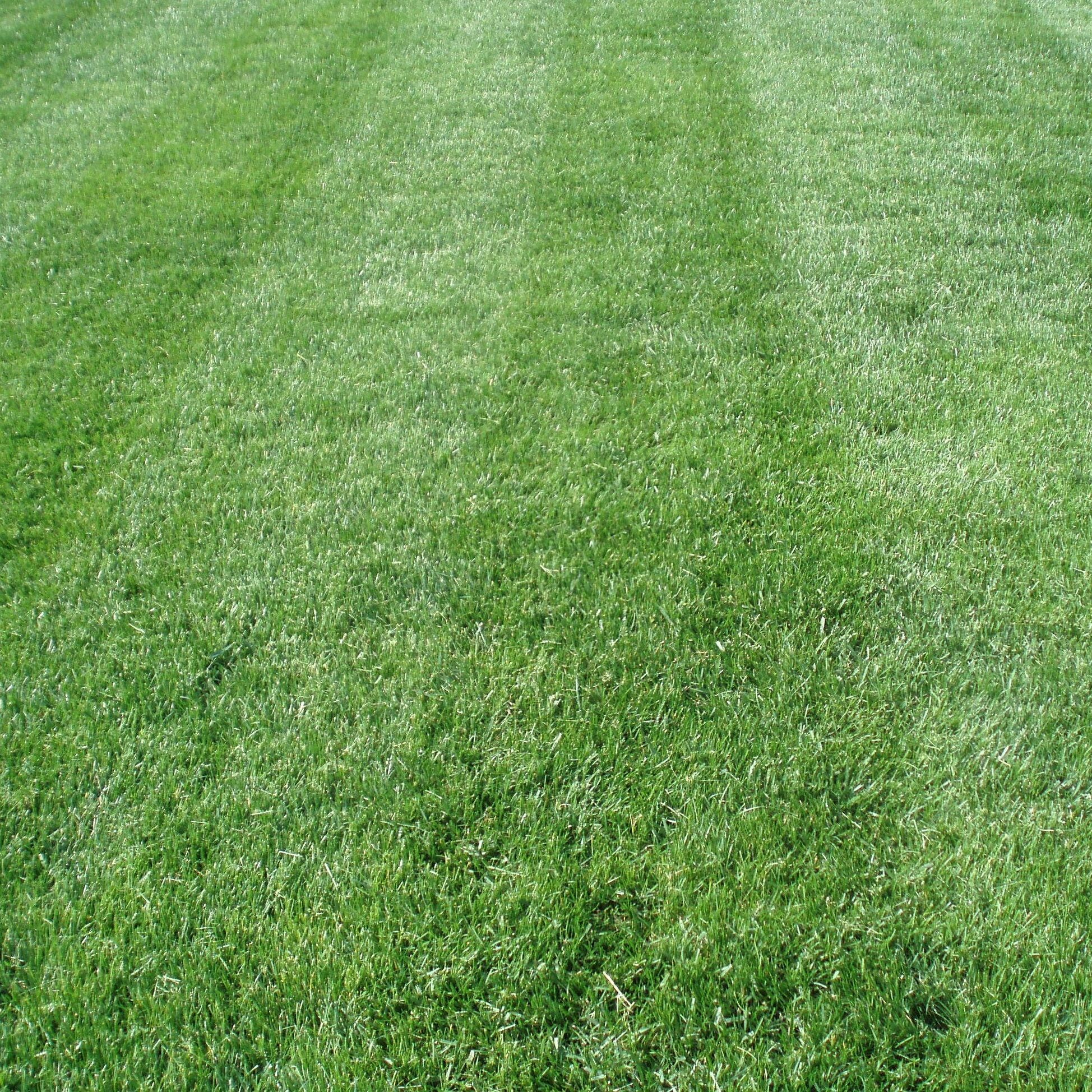 lawn mowing, akron ohio, lawn care,