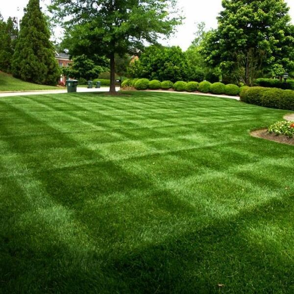 lawn mowing, lawn care, landscaping, landscaper, mowing service, barberton oh, barberton ohio, lawn service,