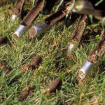 core aeration, aeration, aerating, akron ohio, akron oh, ohio, landscaping, landscaper, lawn care, aerating the lawn, green ohio,