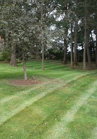 landscaping maintenance, Lawn care, landscaper, lawn mowing, landscaping, mowing service, landscape service, mowing, akron ohio, akron oh, core aerating,