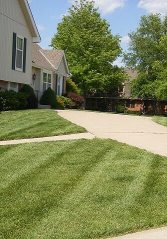 Lawn care, landscaper, lawn mowing, lawn maintenance, landscaping, mowing service, landscape service, mowing, new franklin ohio, new franklin oh, 44319,