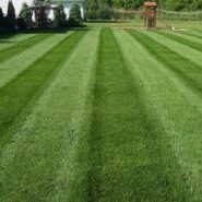 Lawn care, landscaper, lawn mowing, landscaping, mowing service, landscape service, mowing, portage lakes ohio, portage lakes oh, core aeration,