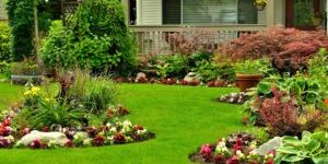 Lawn Mowing, Landscaping, Lawn Care, Mowing