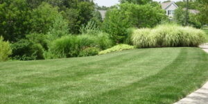 lawn care, richfield oh, 44286, lawn service, landscaping, summit county oh, lawn mowing, landscaper, lawn aeration, core aerating,