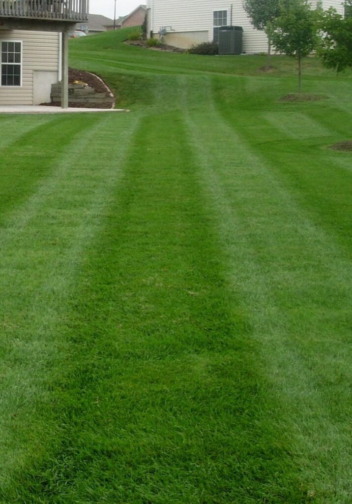 Lawn care, landscaper, lawn mowing, landscaping, mowing service, lawn maintenance, landscape service, mowing, springfield township ohio, springfield township oh, springfield oh, springfield ohio, 44312,